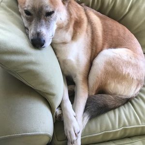 Meet your Posher, Kellie